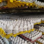 Penghancuran Dokumen Kertas untuk Ciptakan Produk Daur Ulang